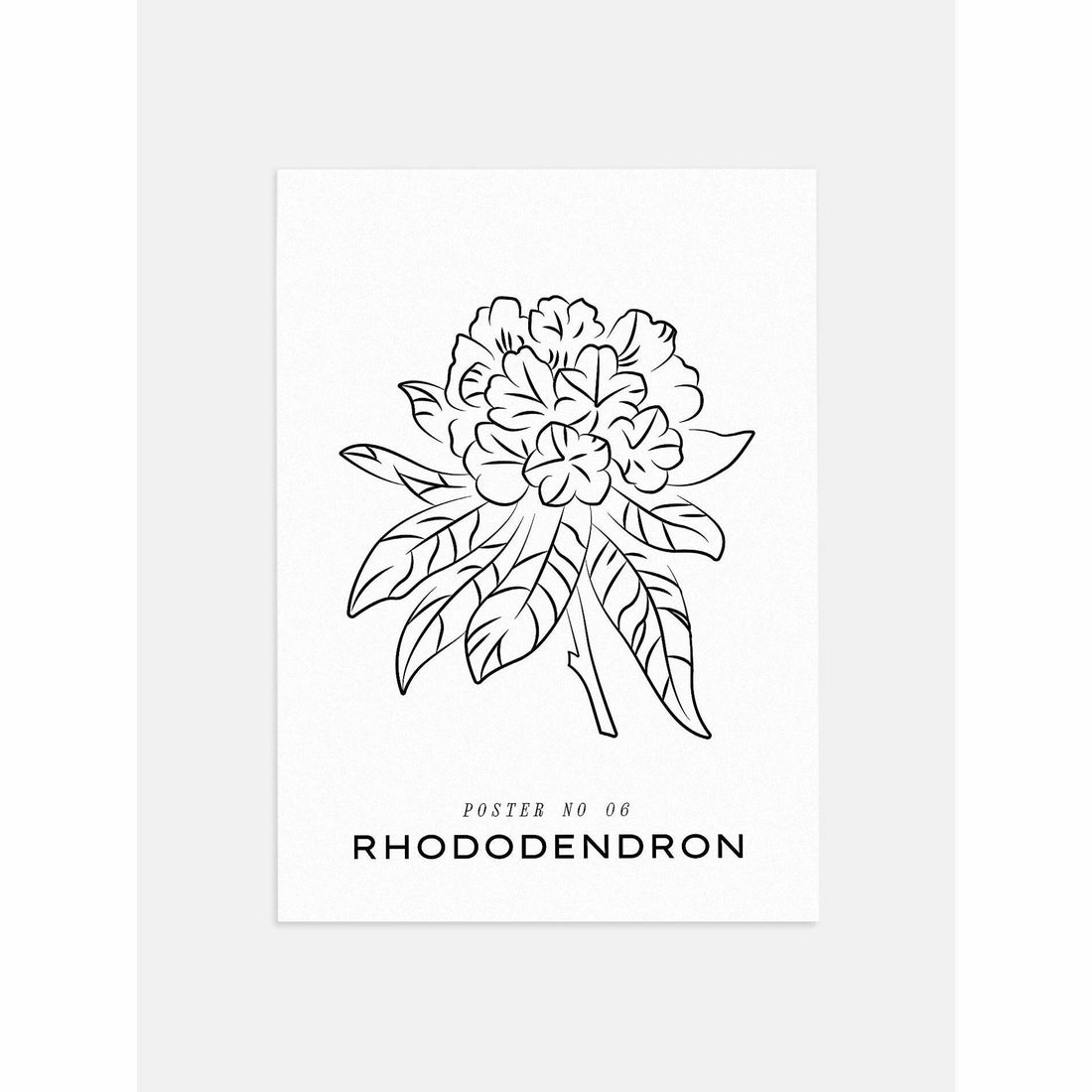 Rhododendron Wall Art 