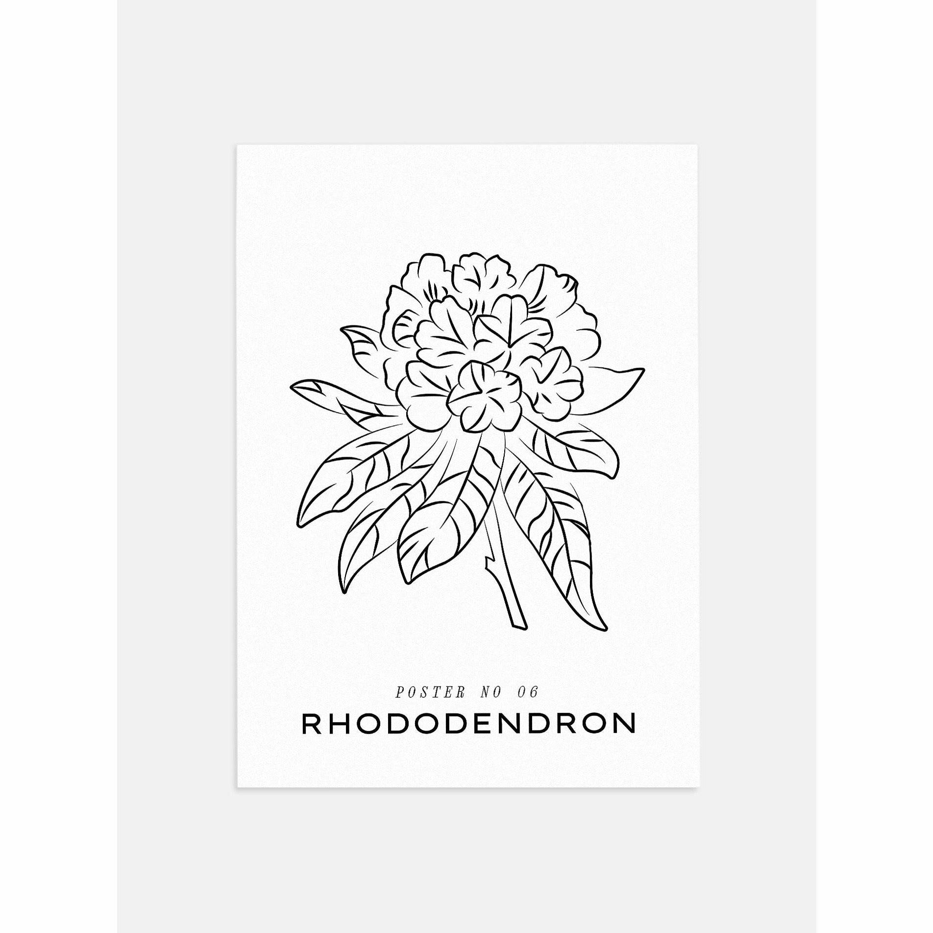 Rhododendron Wall Art 
