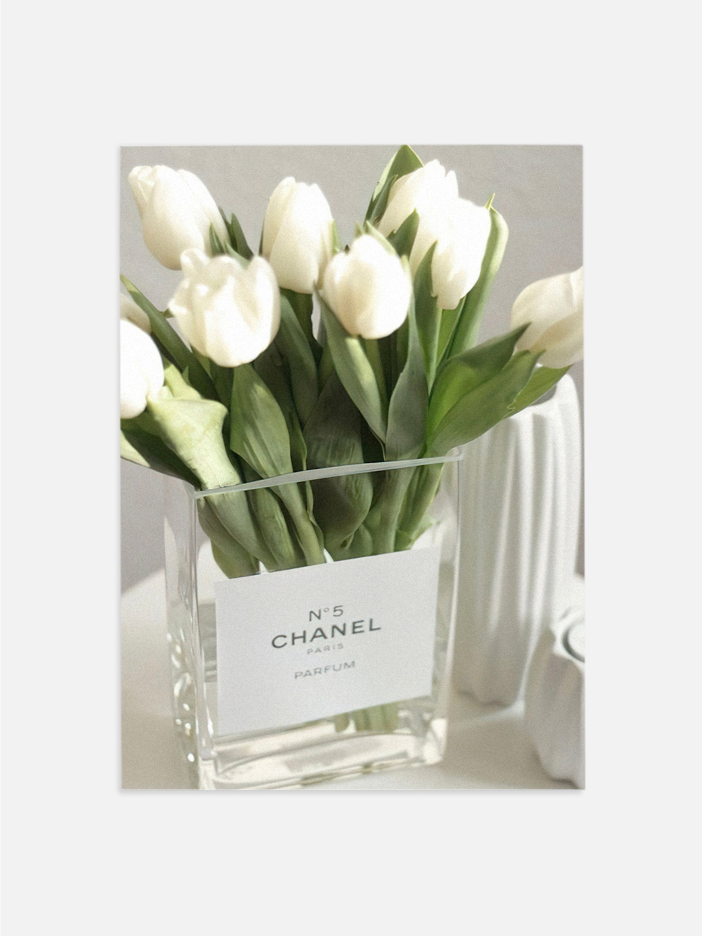 Tulips in Chanel Vase