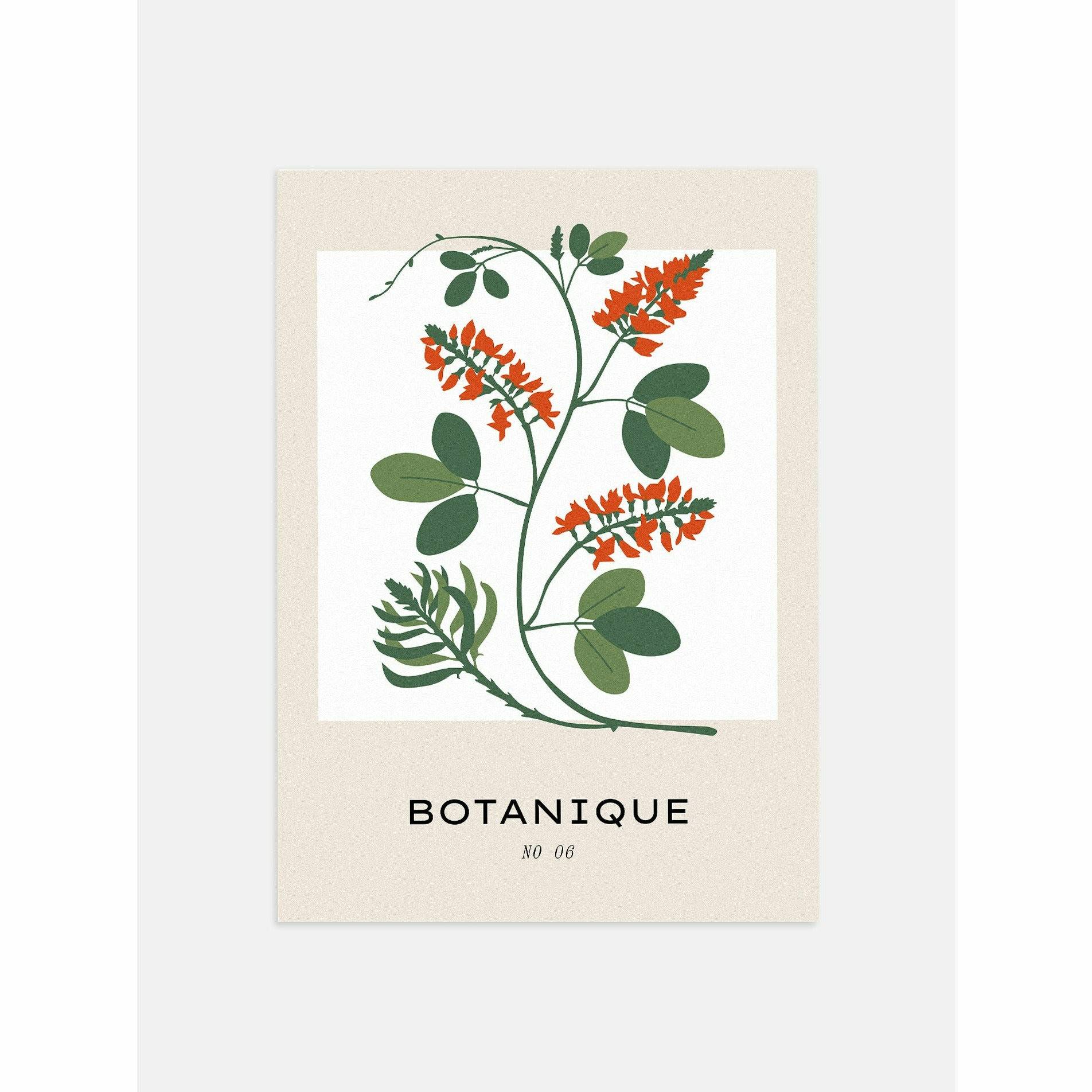 Botanical Wildflowers Wall Art