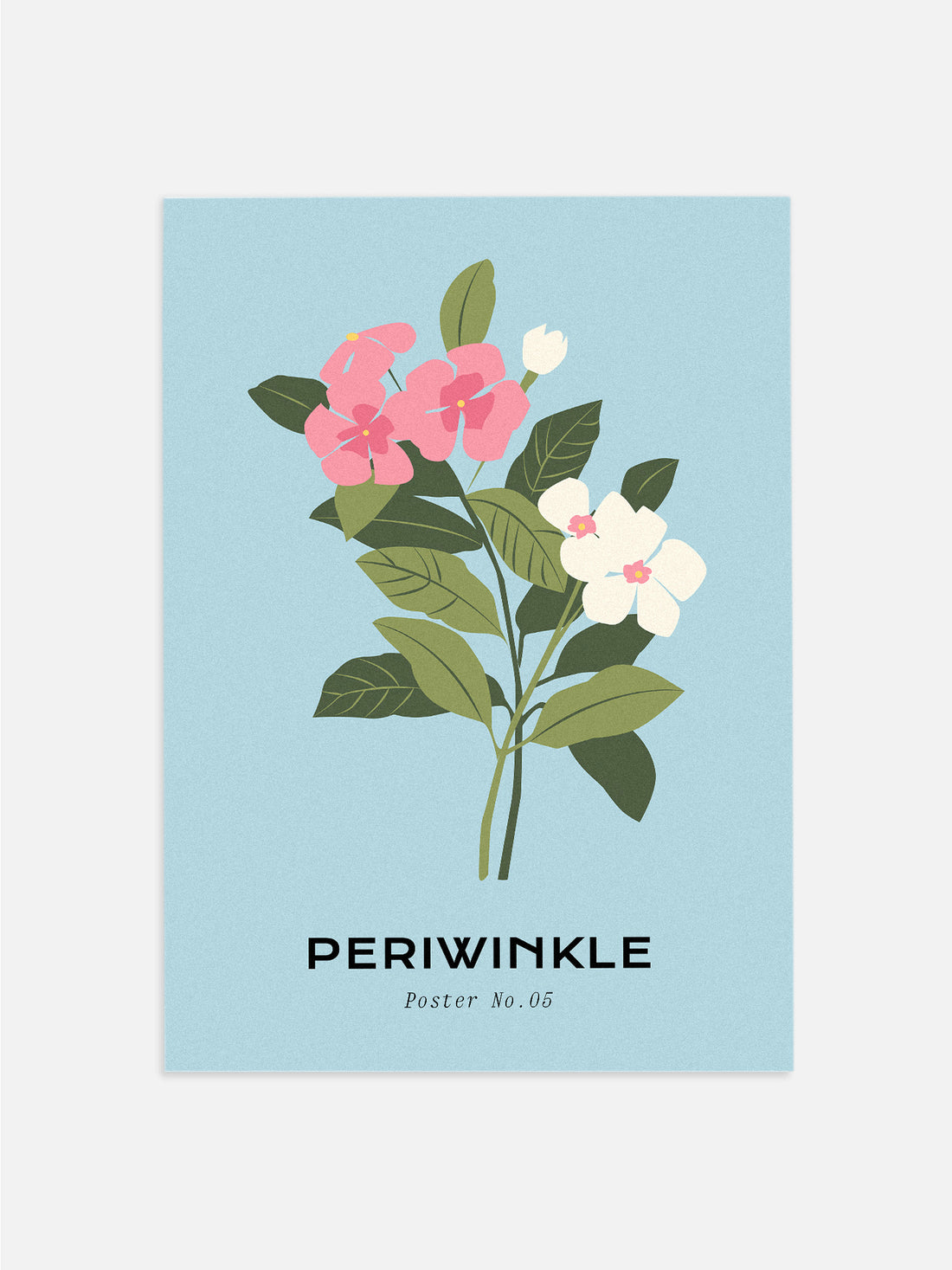 Periwinkle Bundle