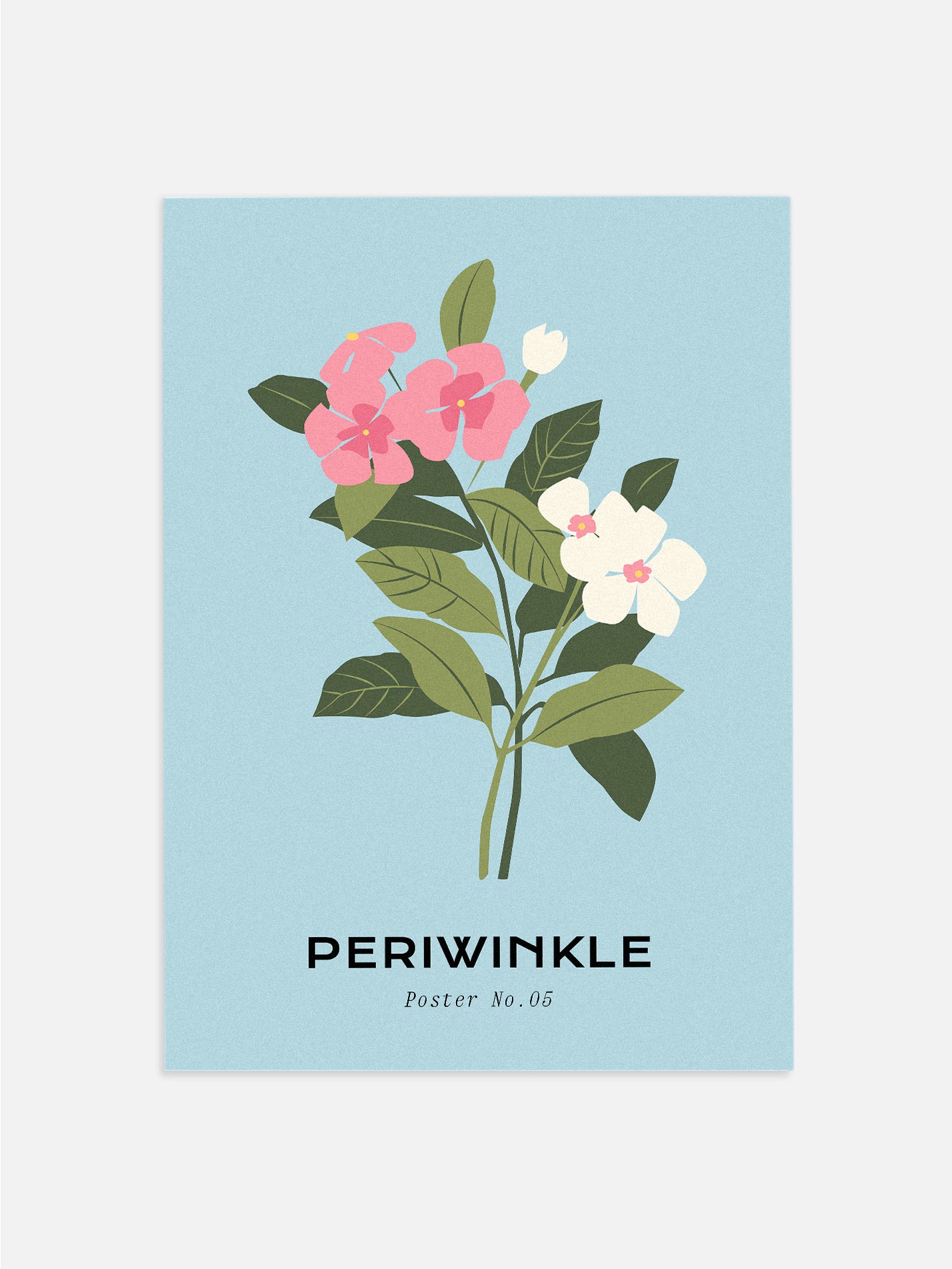 Periwinkle Bundle