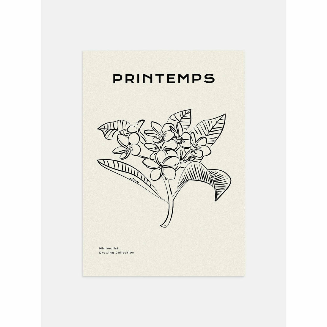 Plumeria Poster