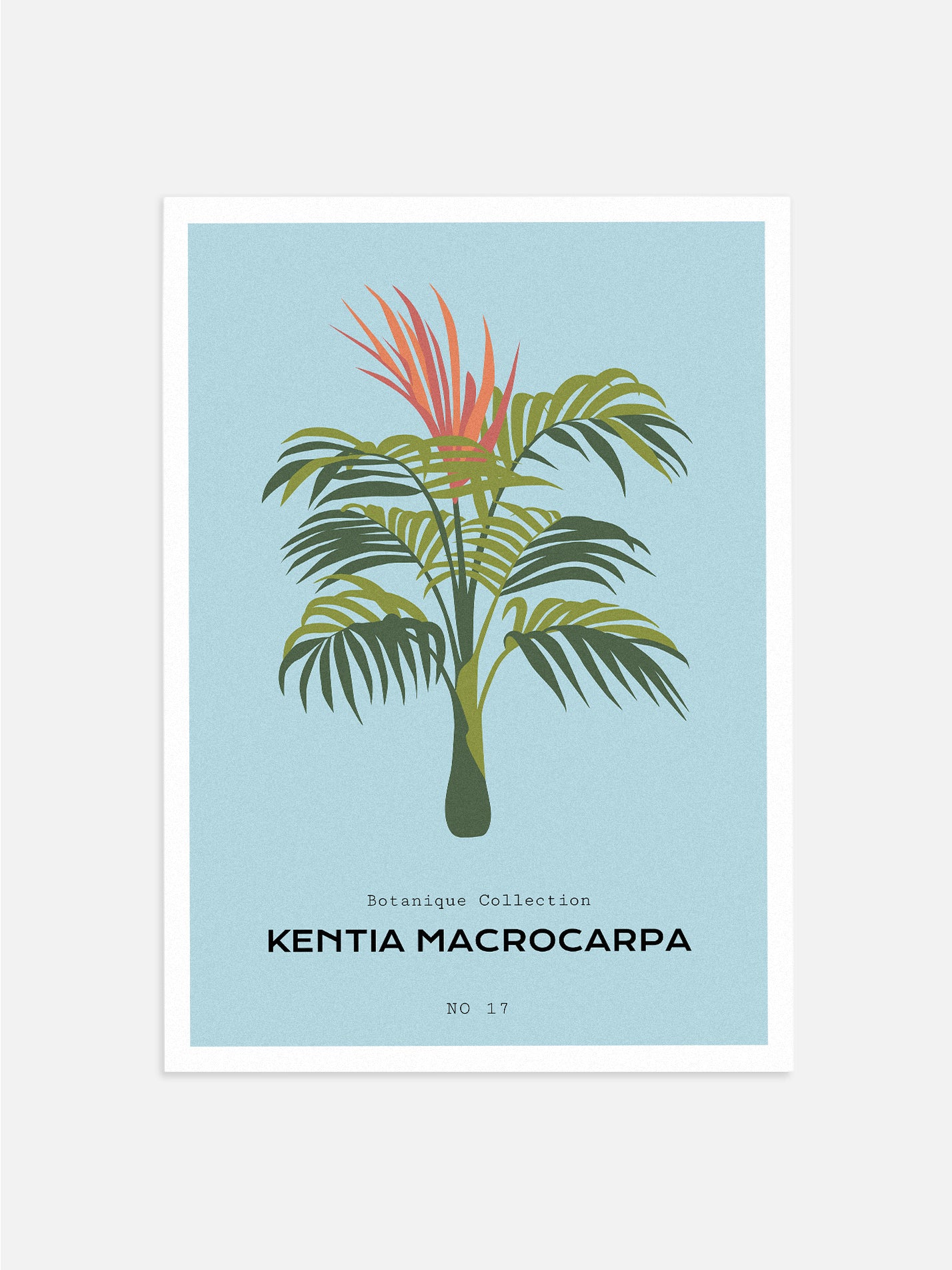 Palm Tree Illustration