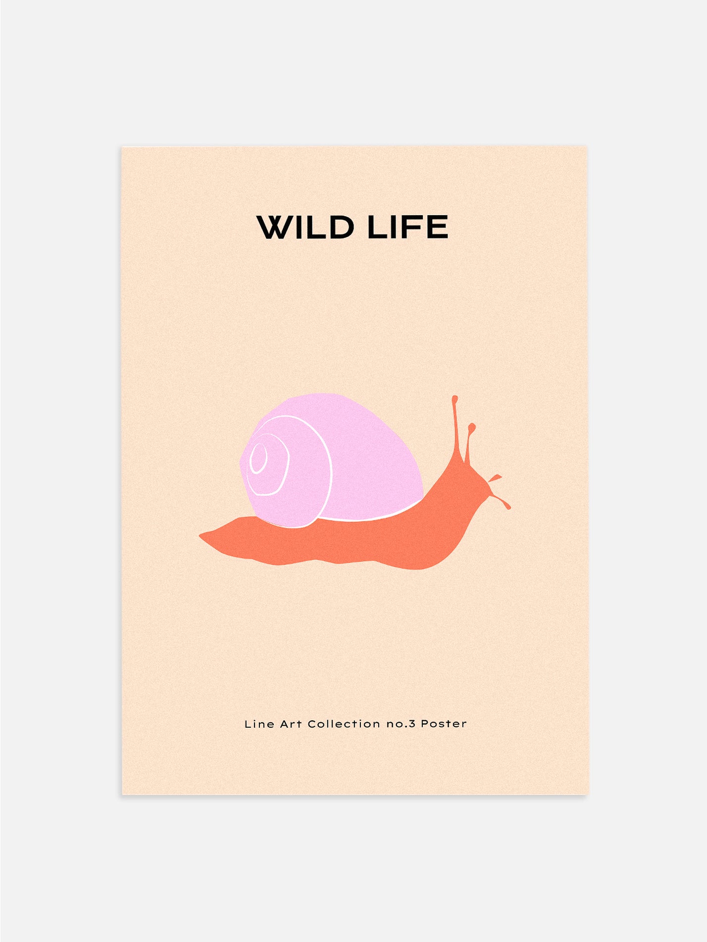 Wild Life: Snail Poster