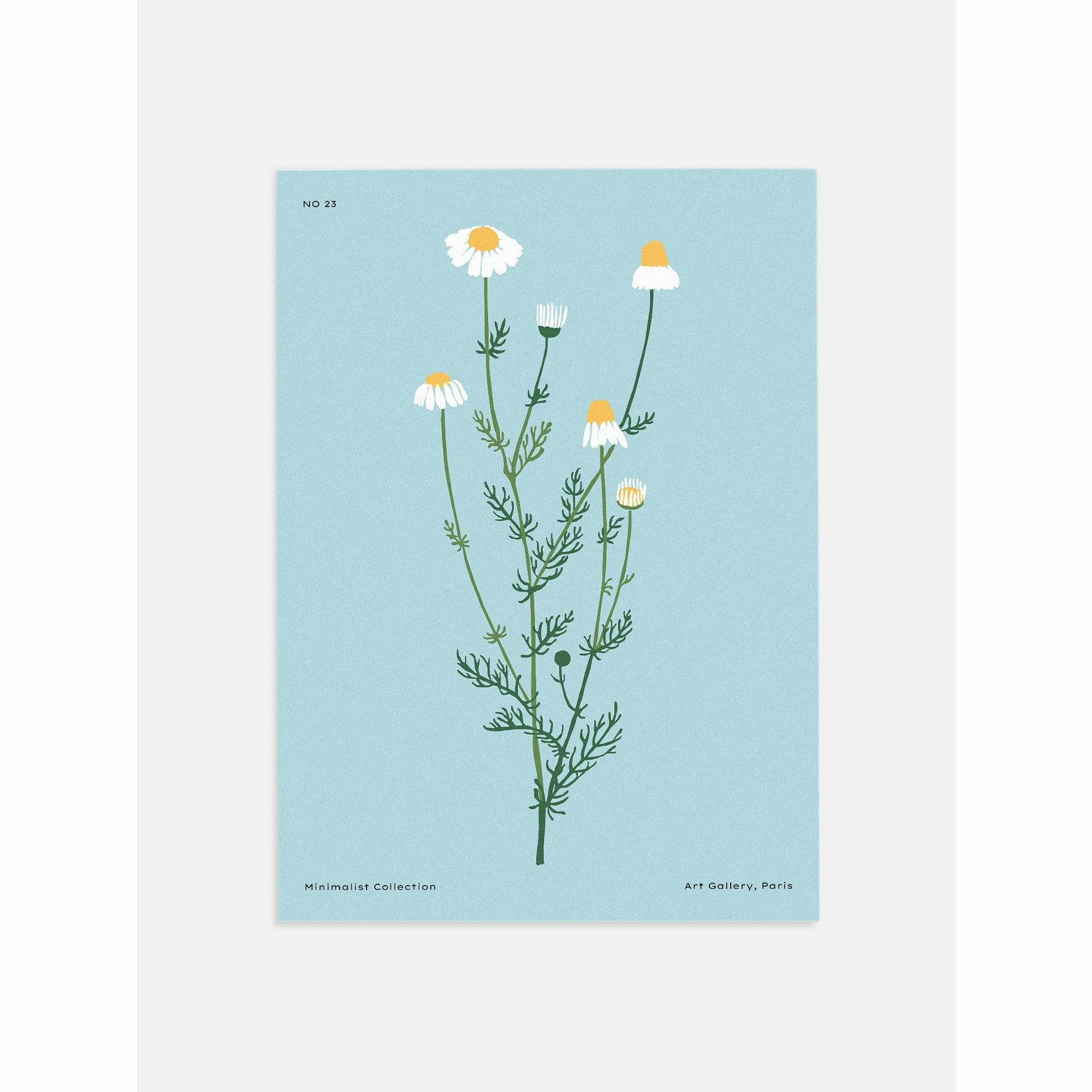 White Daisy Botanical Wall Art