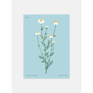White Daisy Botanical Wall Art