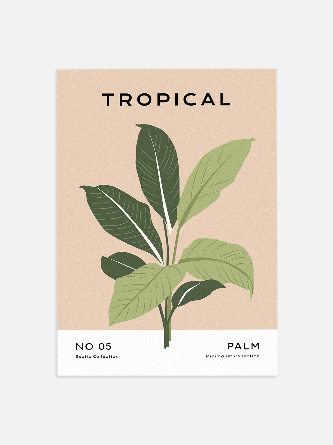 Tropical Palm Print