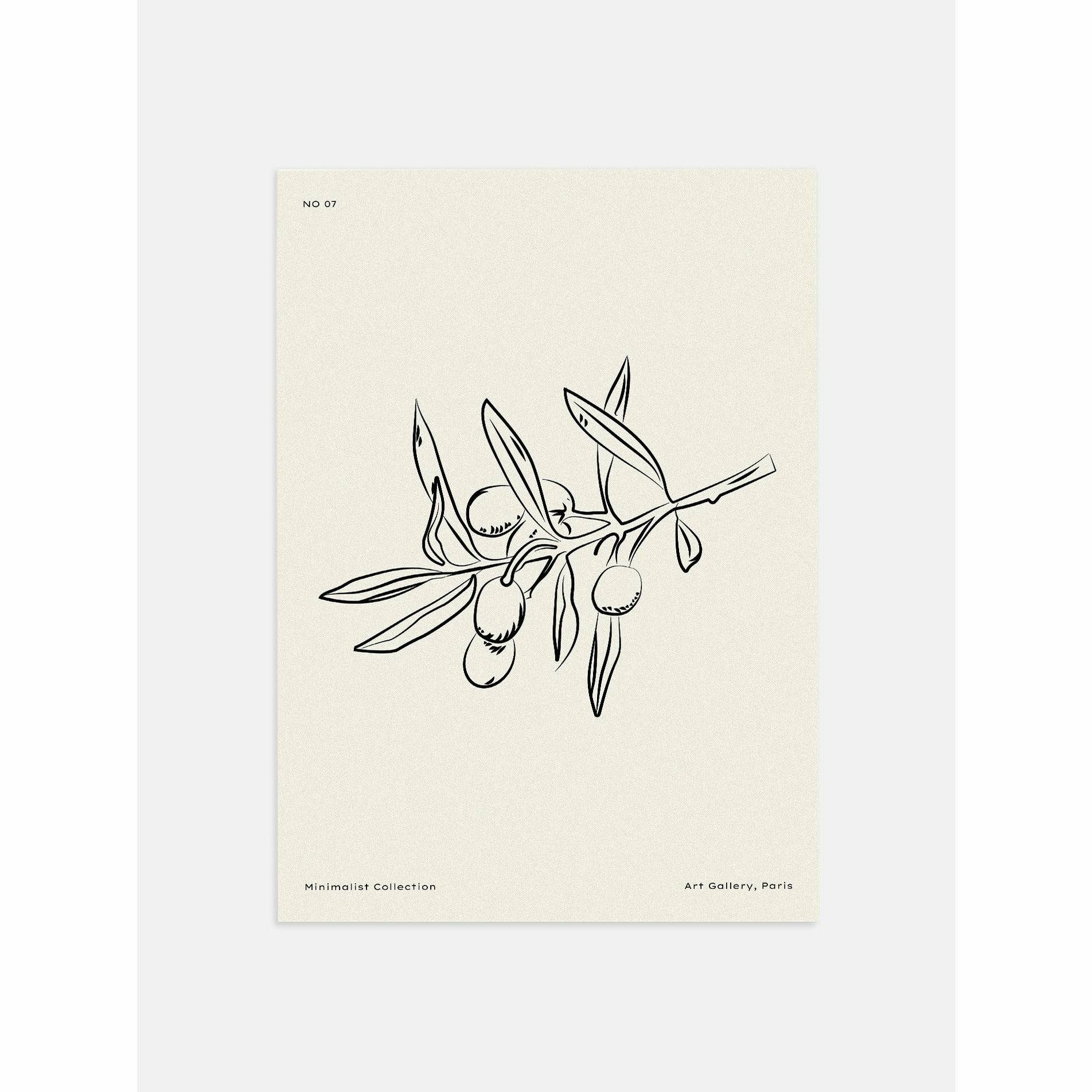 Olive Branch Berries