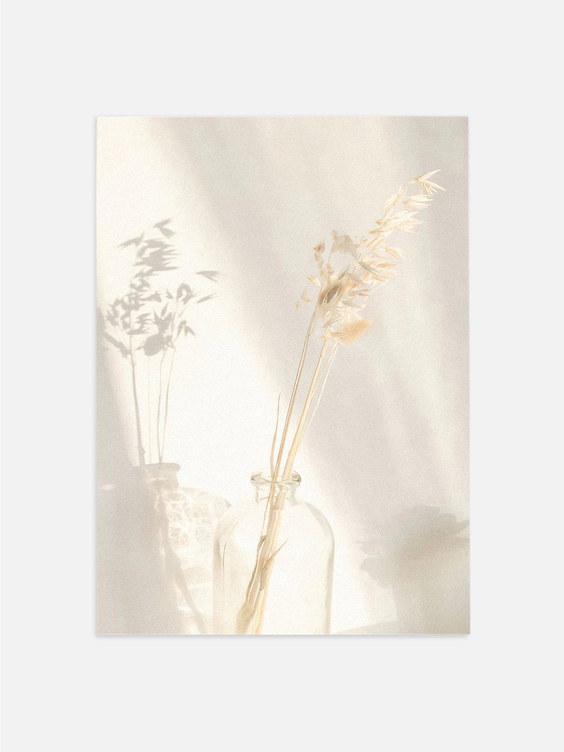Dried Stems