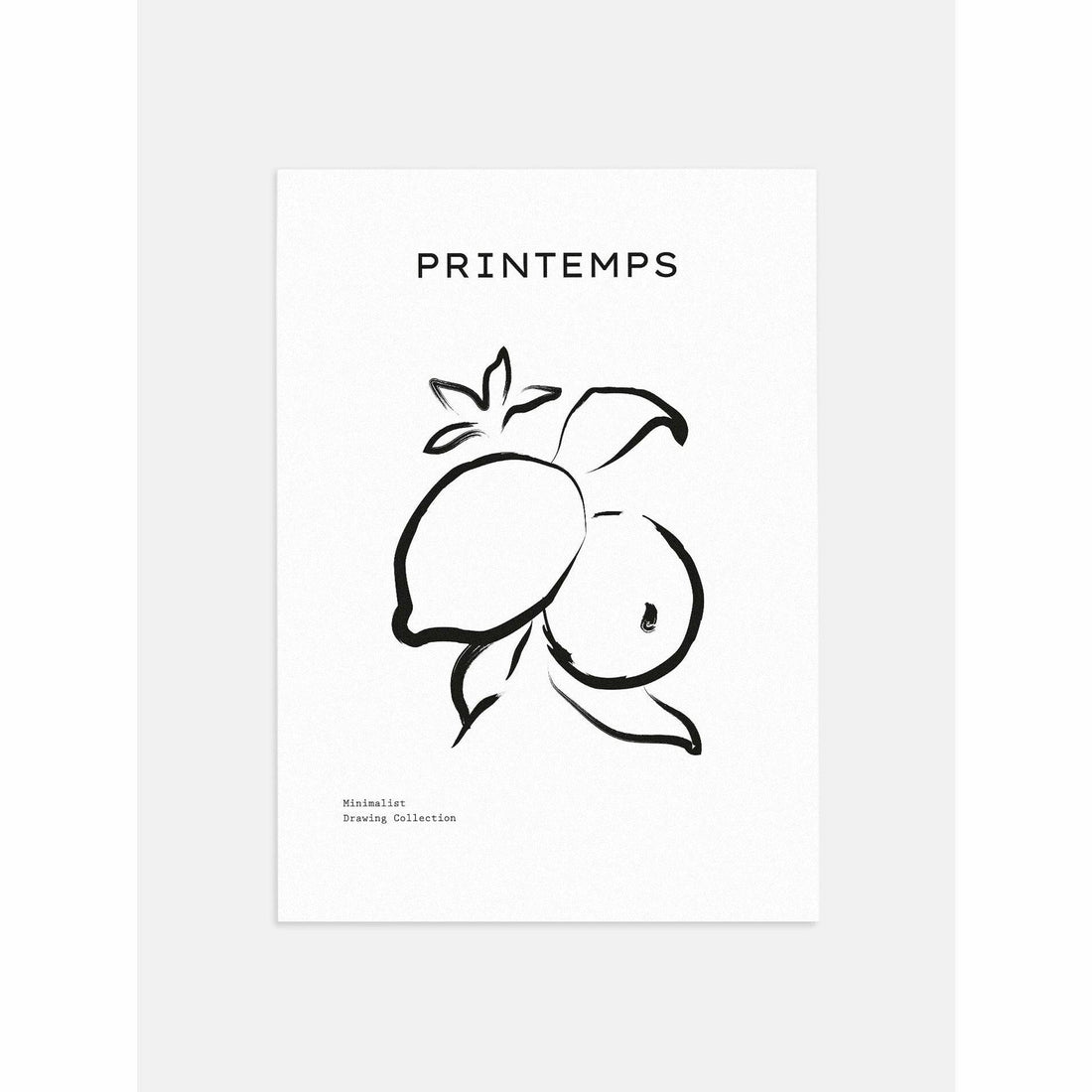 Fruit Brushed Drawing