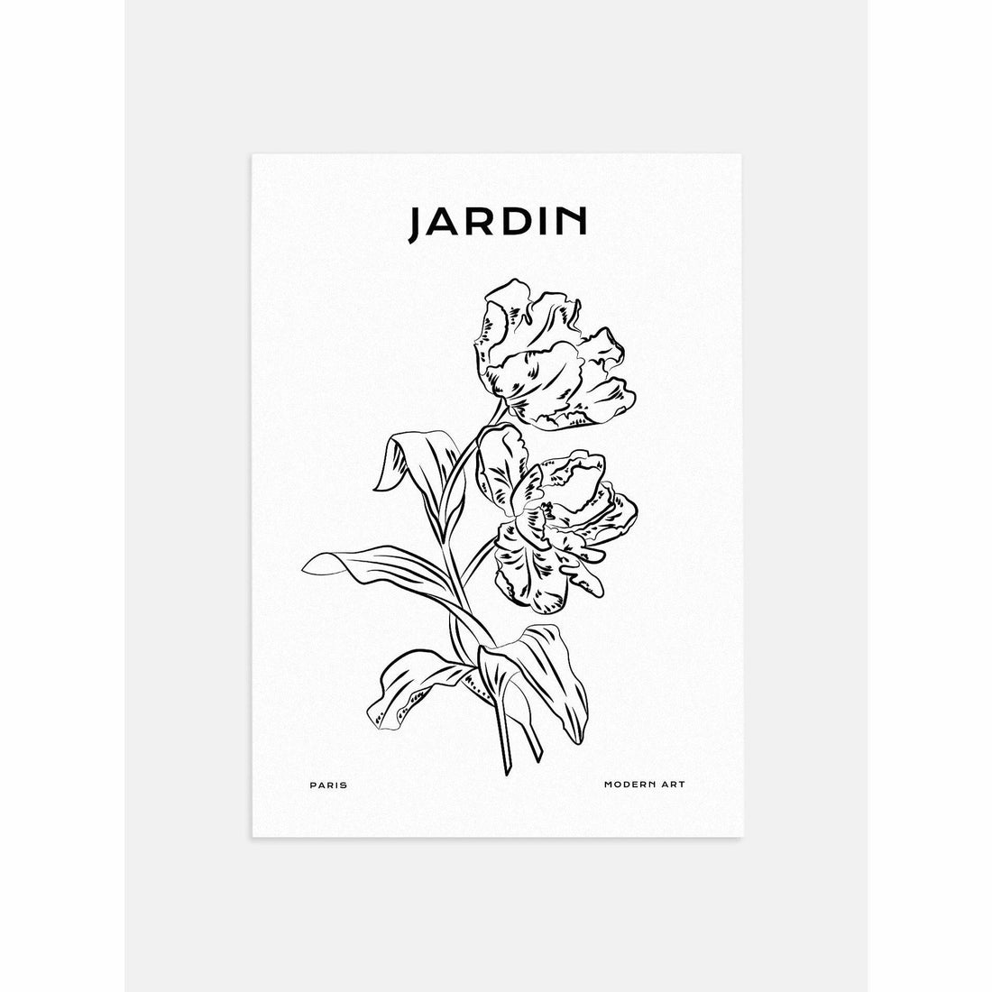 Jardin- Peonies