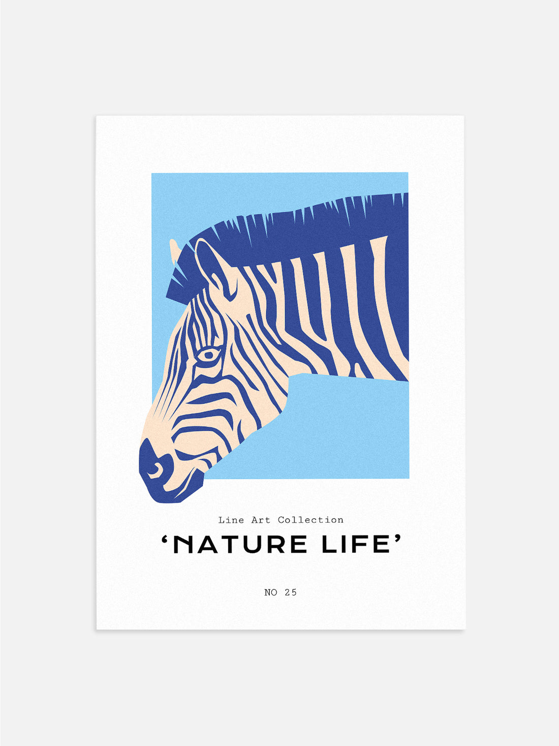 Nature Life: Zebra