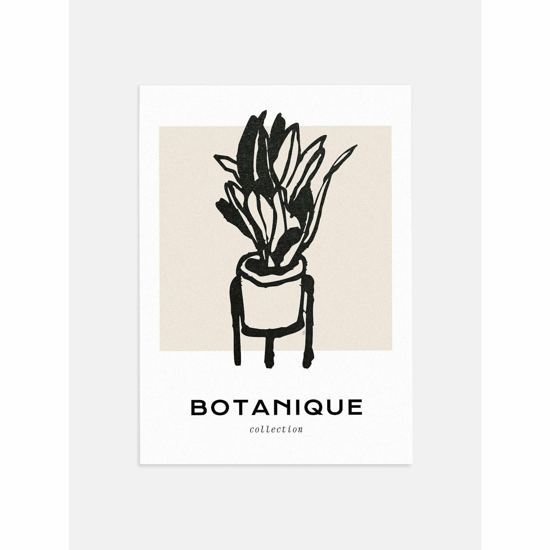 Houseplant on Stand