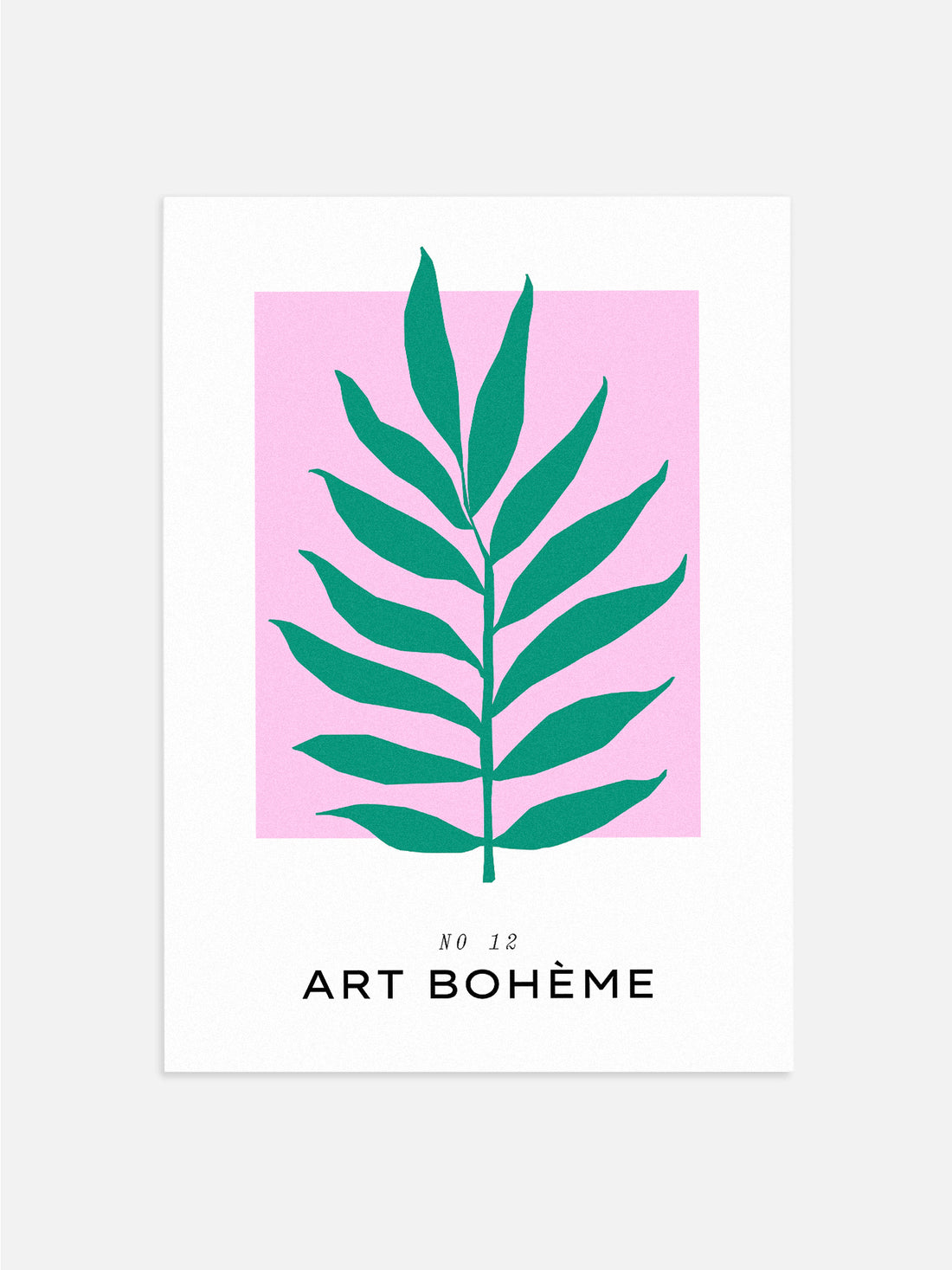 Pink & Green Plant