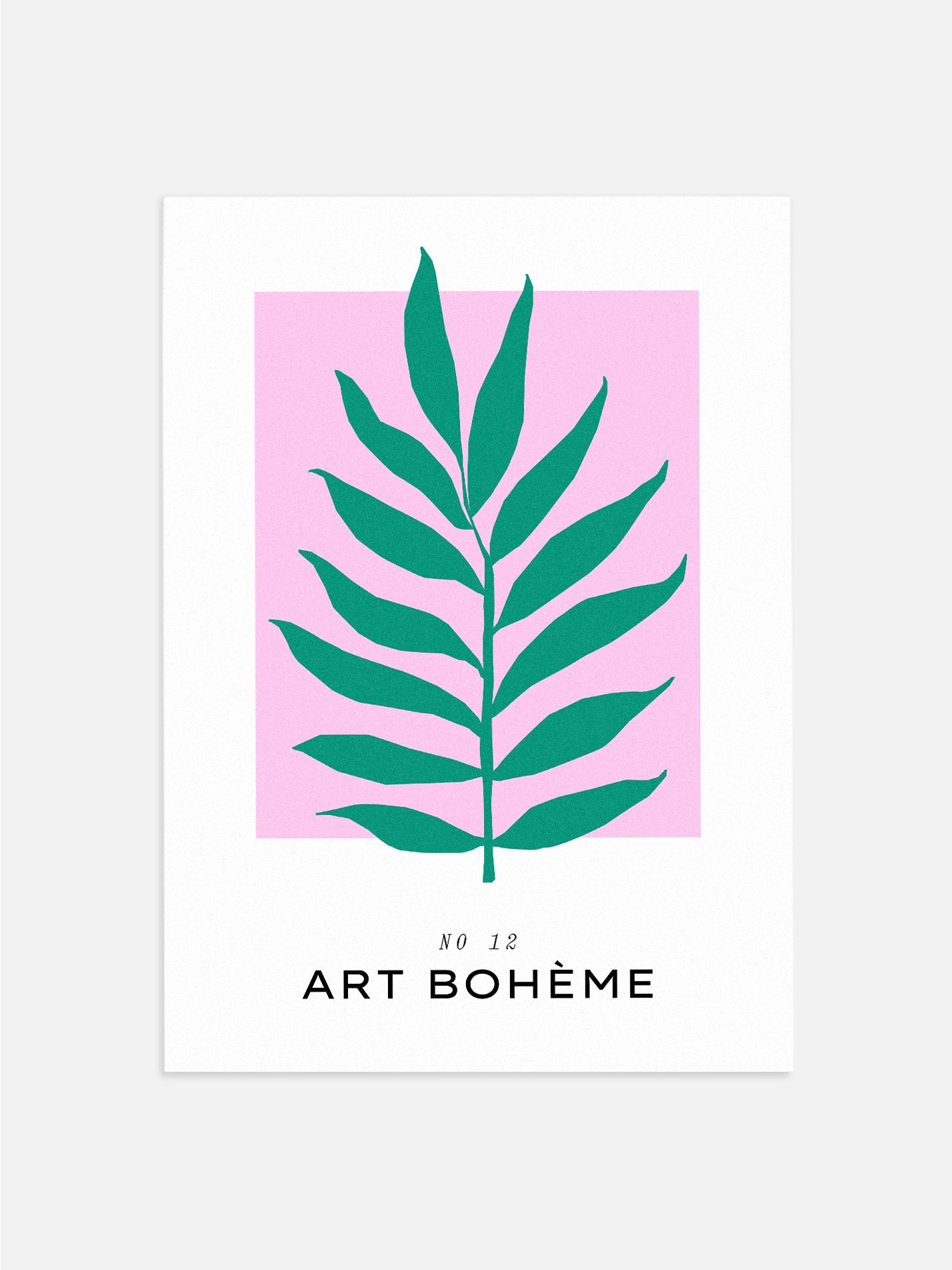 Pink & Green Plant