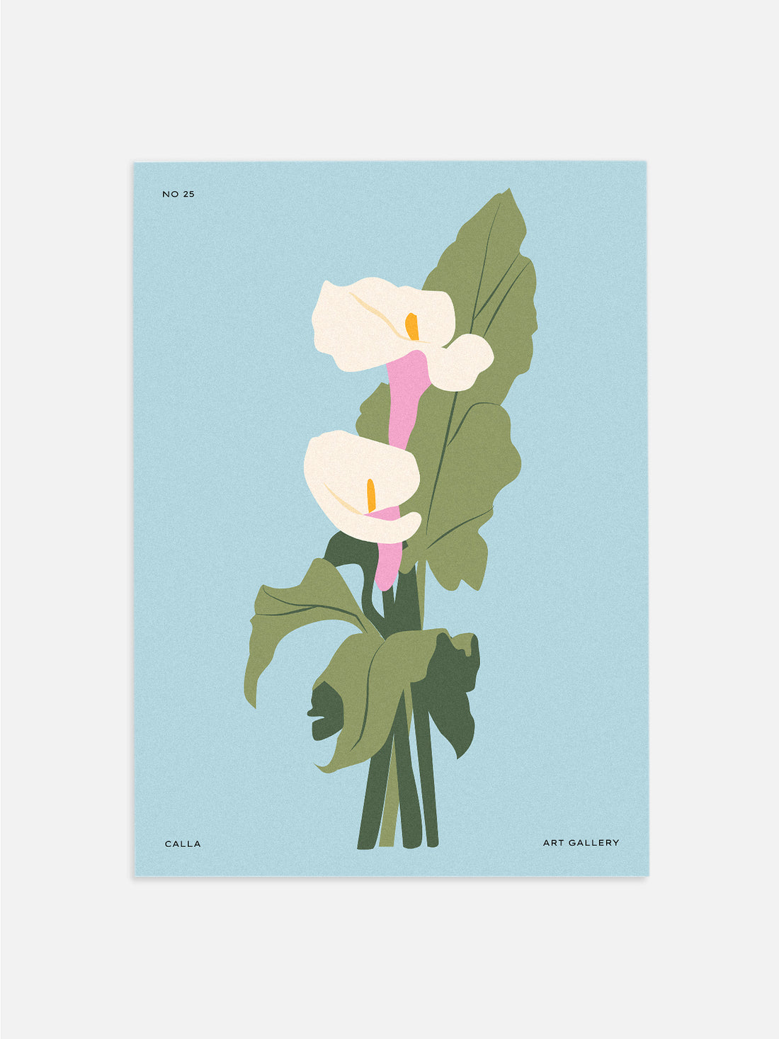 Calla Lily Digital Print 