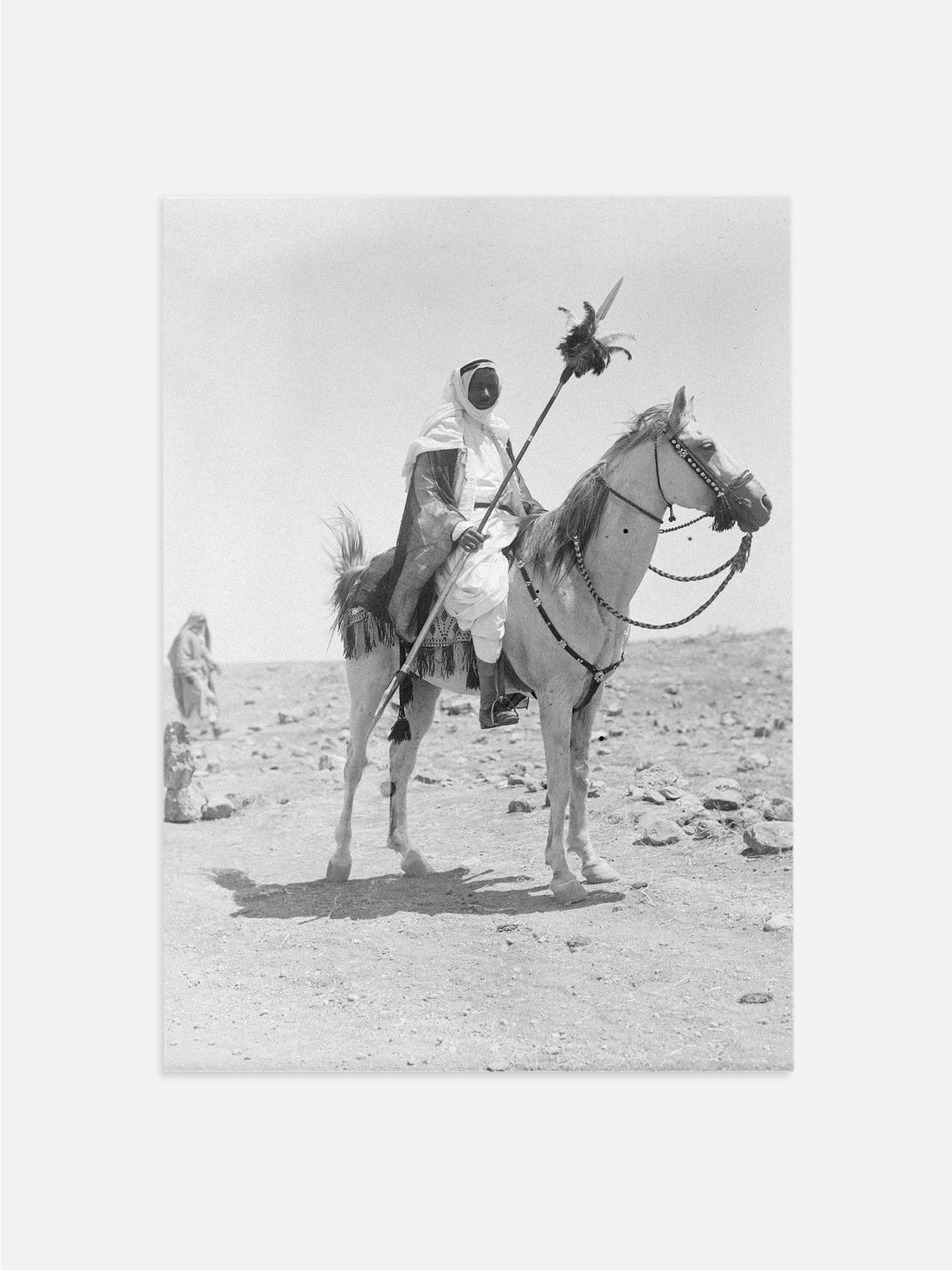 Desert Warrior