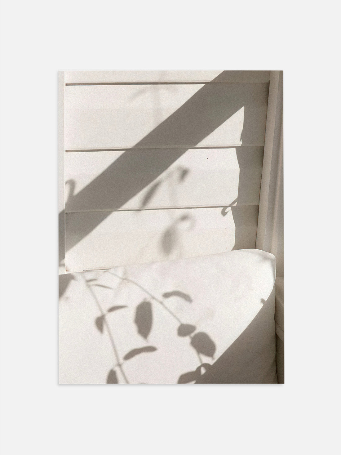 Shadows of Leaves