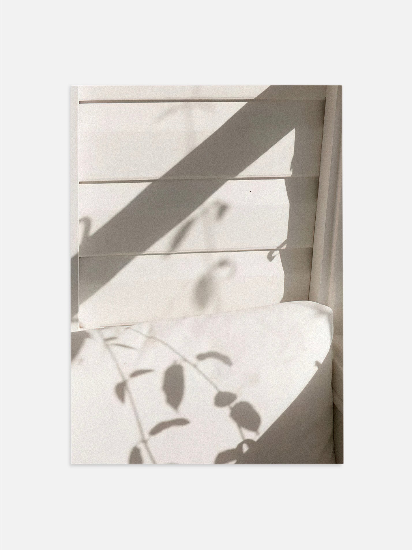 Shadows of Leaves