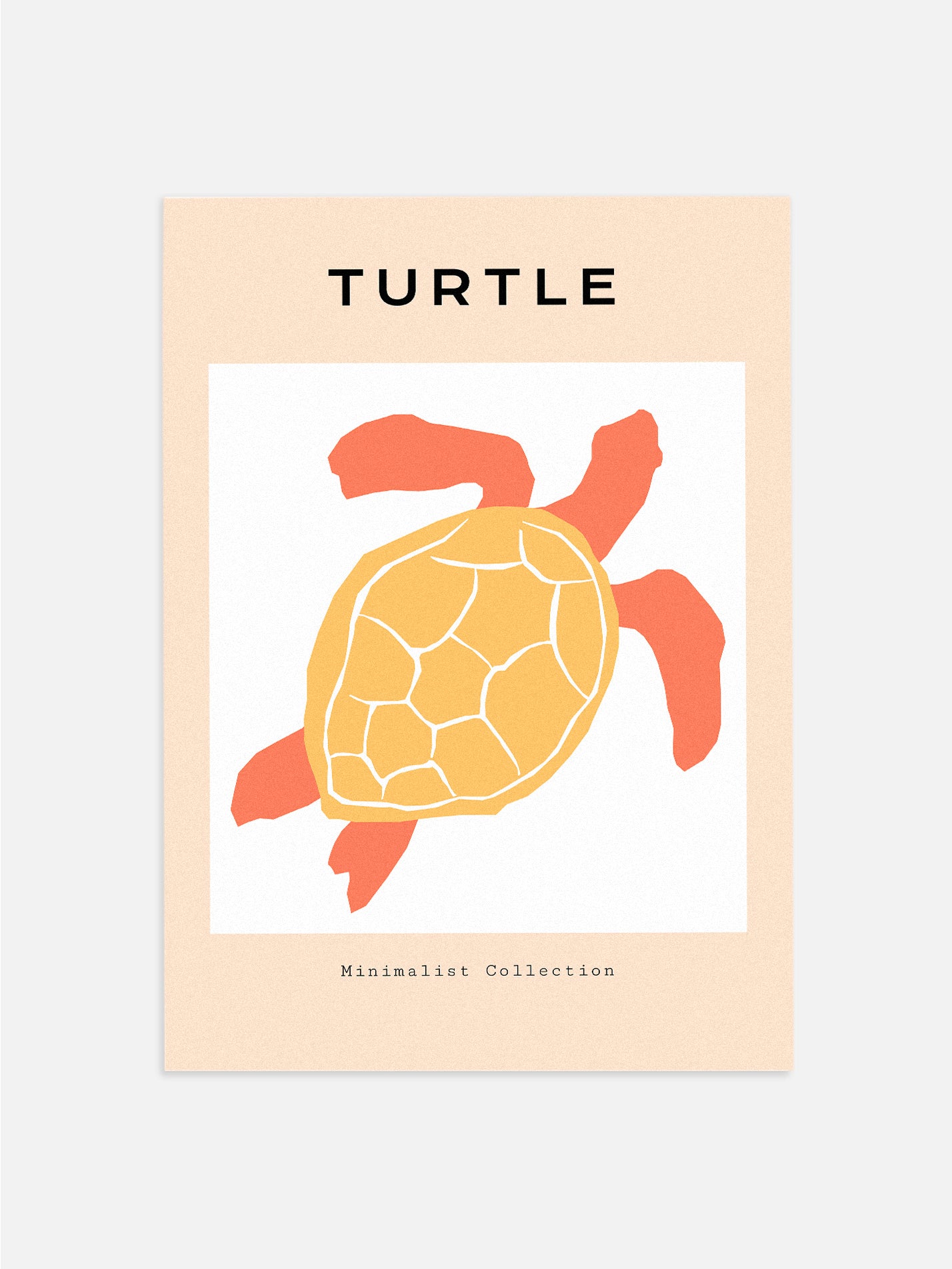 Ocean Life: Turtle