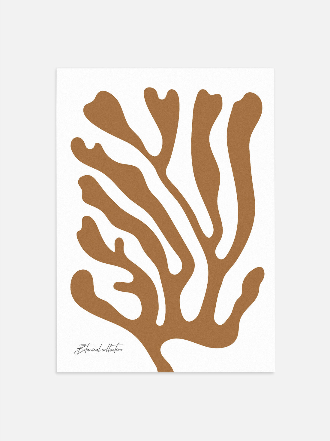 Abstract Sea Leaves