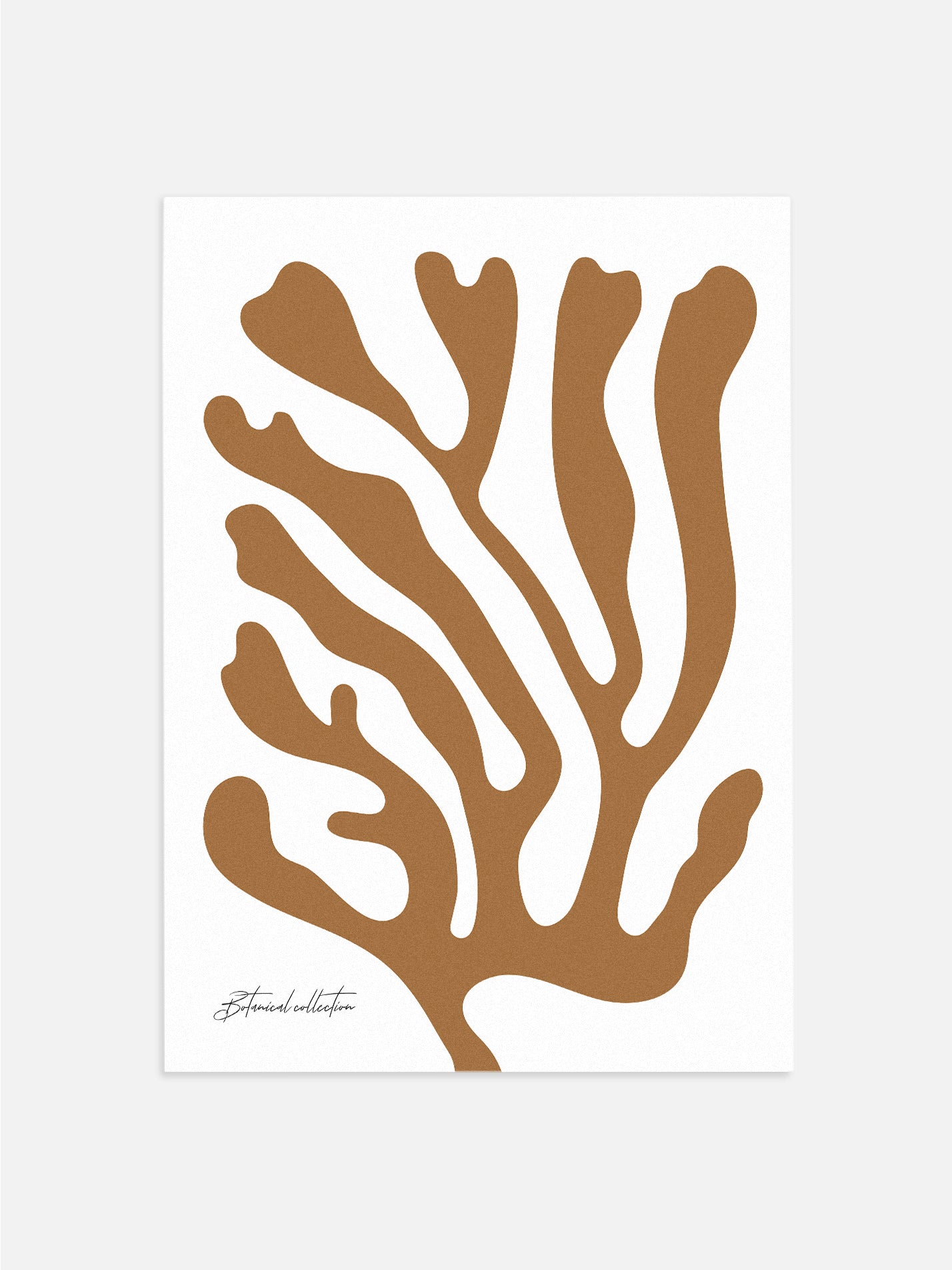 Abstract Sea Leaves