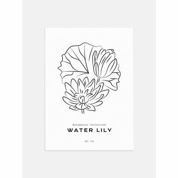Minimalist Water Lily Poster