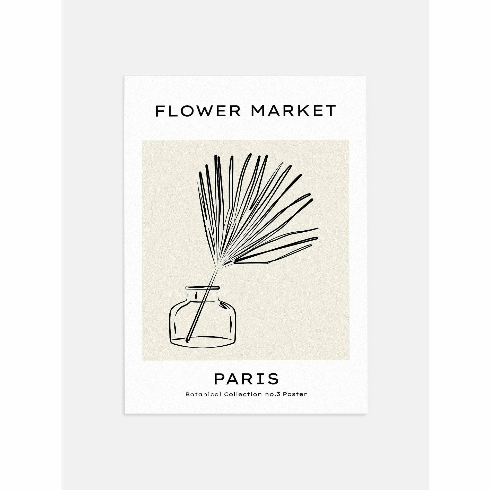 Botanical Collection Palm Poster