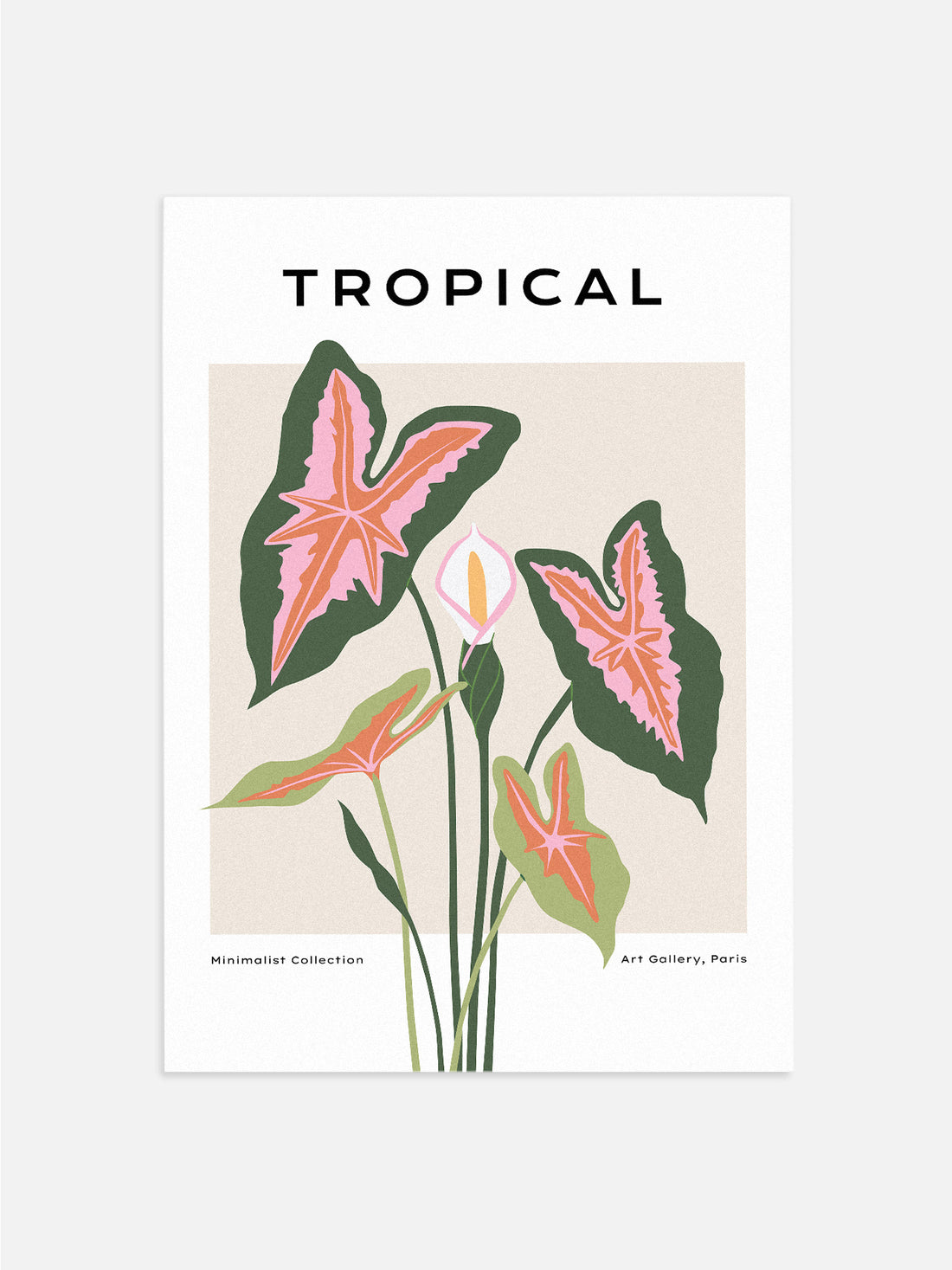Pink & Green Tropical Plants