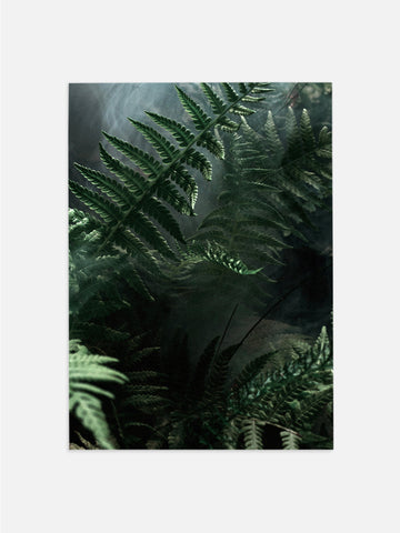 Jungle Ferns