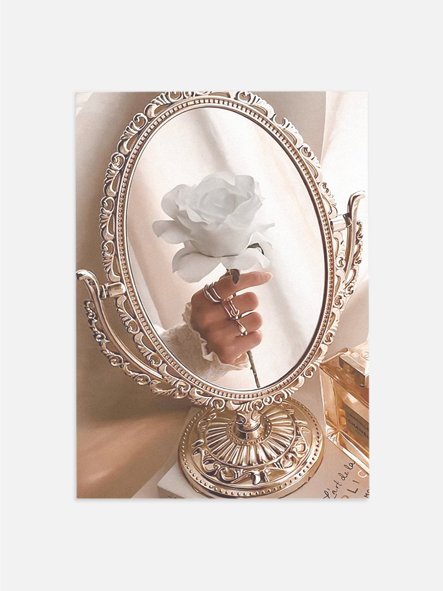 White Rose Reflection