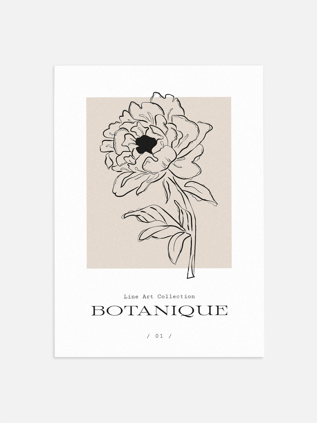 Black & Beige Peony Drawing