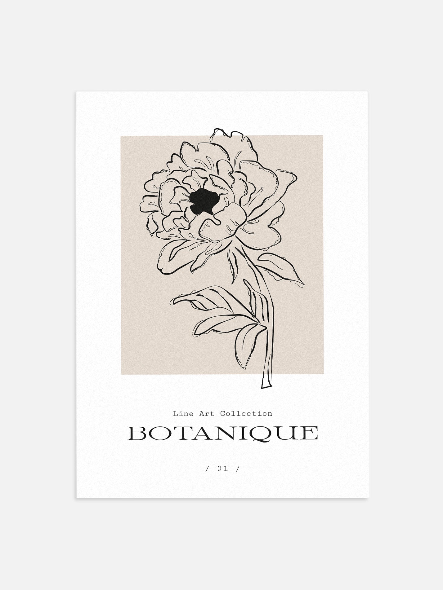 Black & Beige Peony Drawing