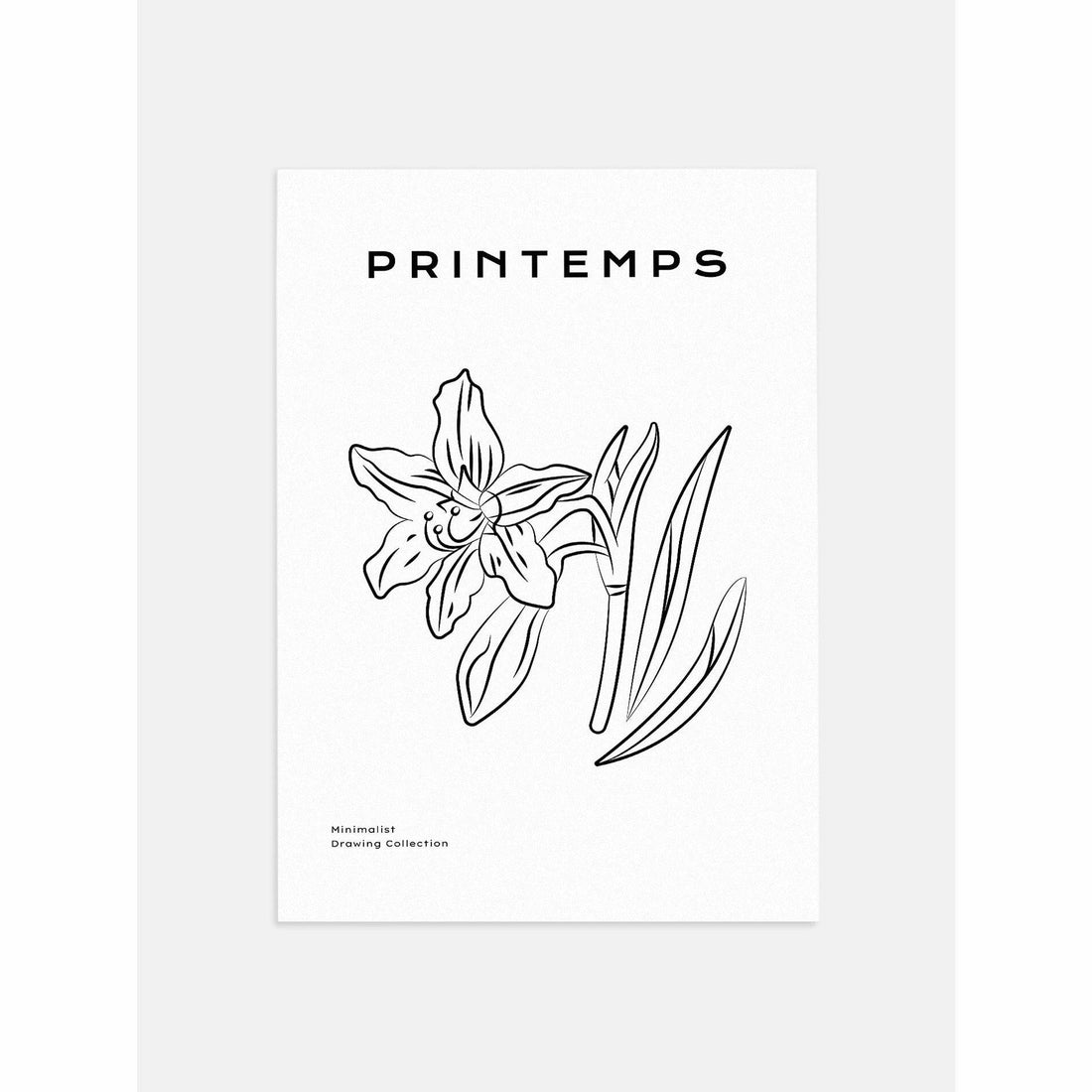 Easter Lilies