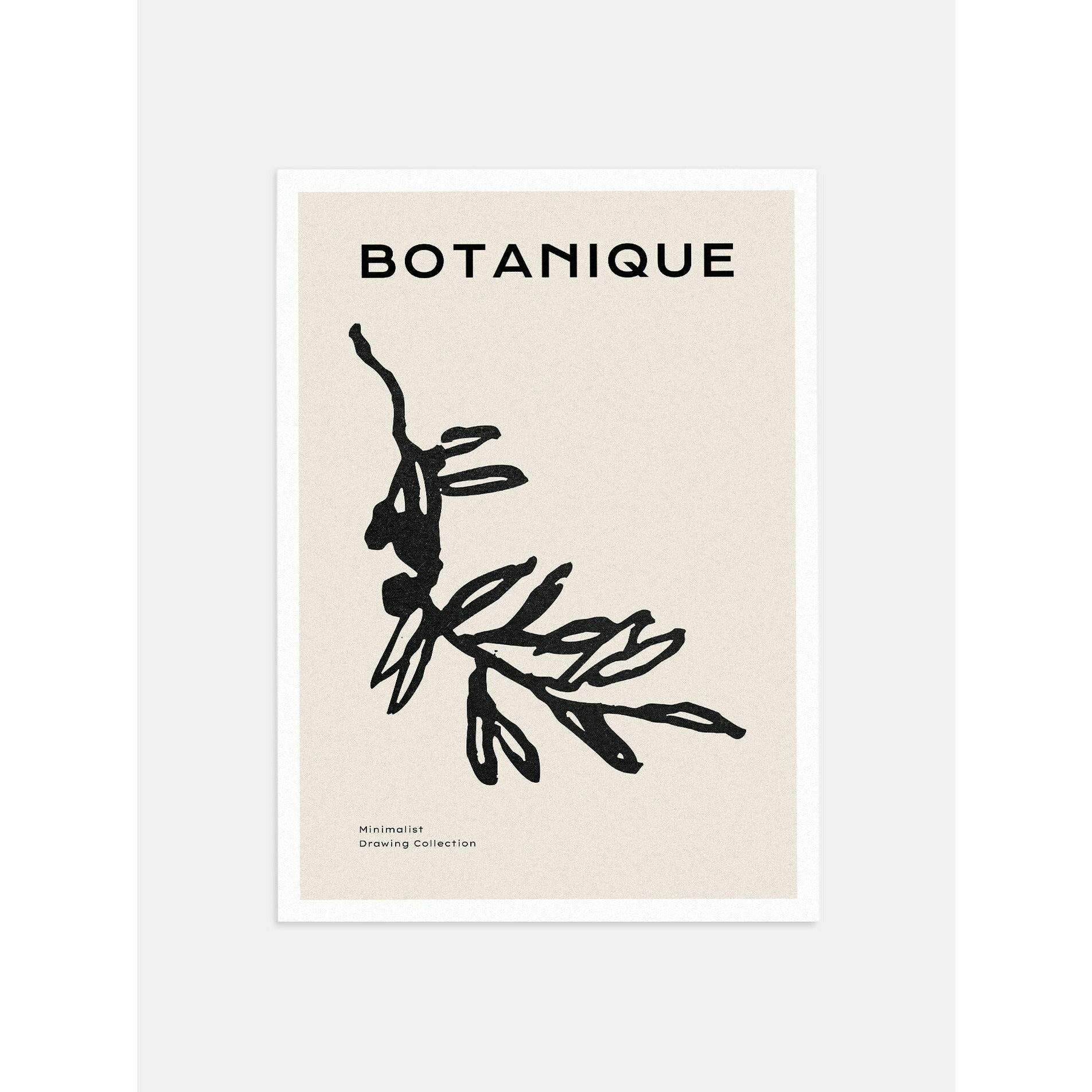 Botanique Stems Poster