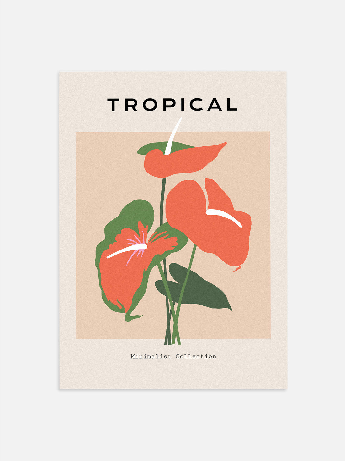 Anthurium Laceleaf Wall Art
