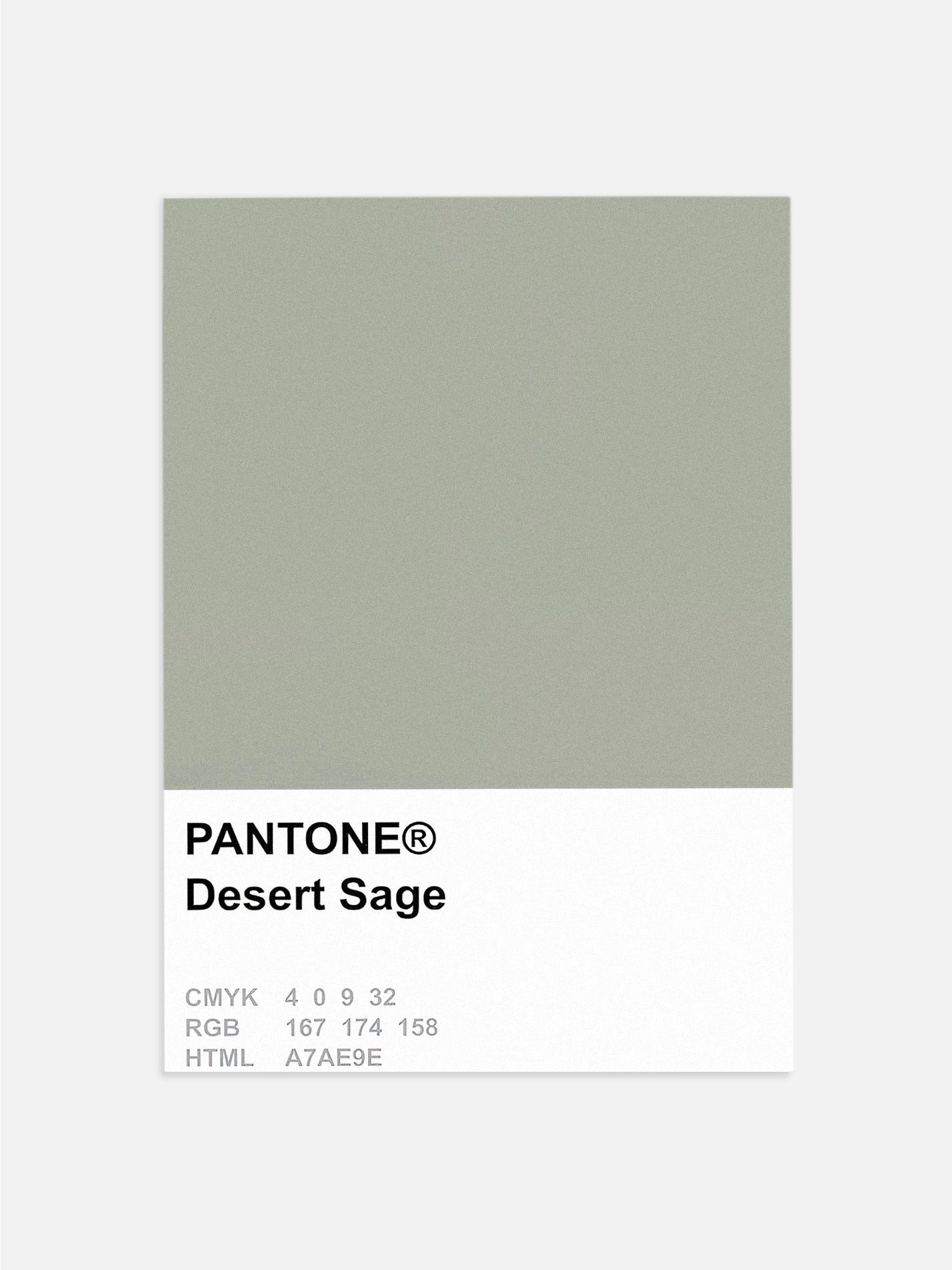 Pantone Desert Sage Poster
