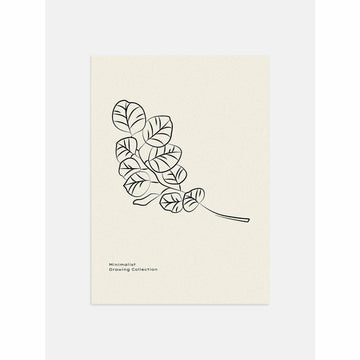 Sea Plant Line Art