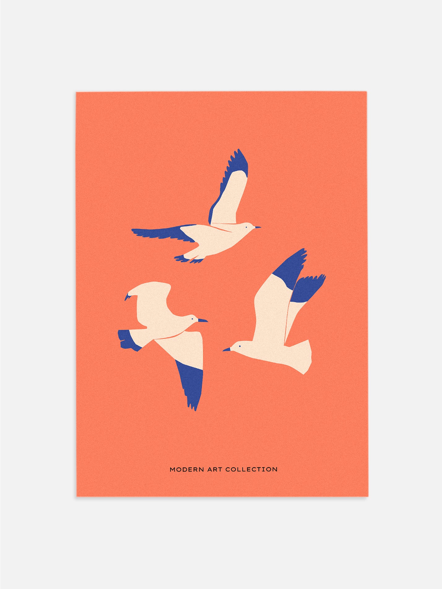 Abstract Seagulls