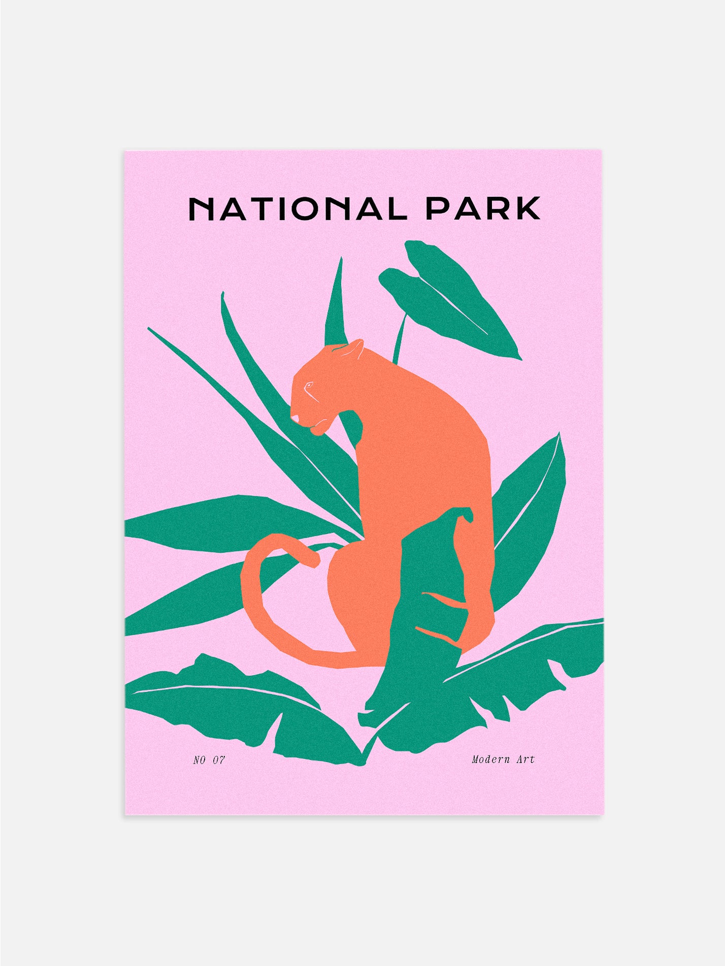 National Park: Jaguar