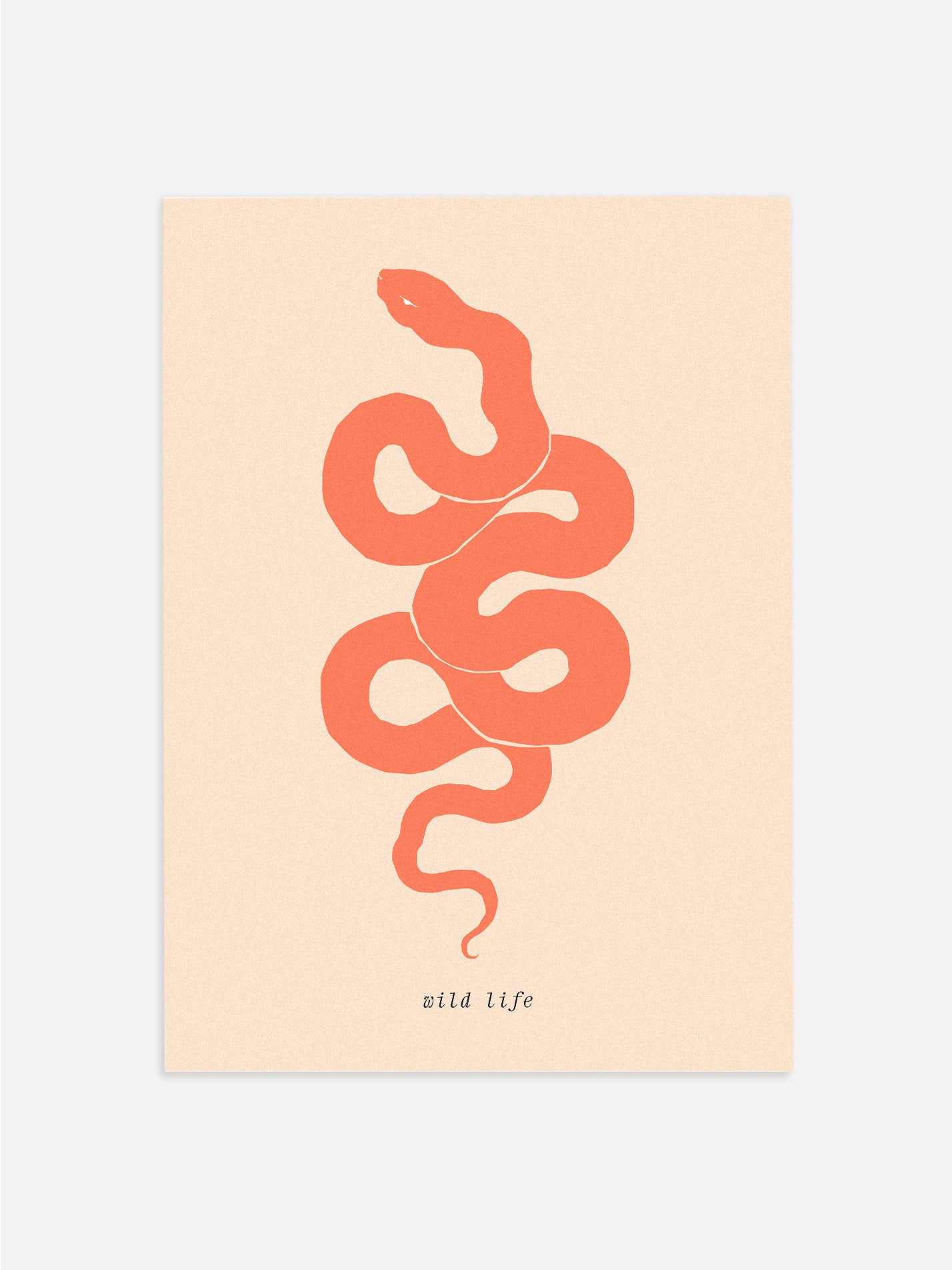 Wild Life: Snake