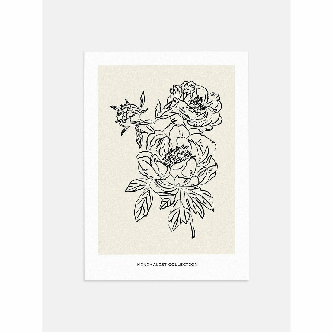 Peonies Outline Print