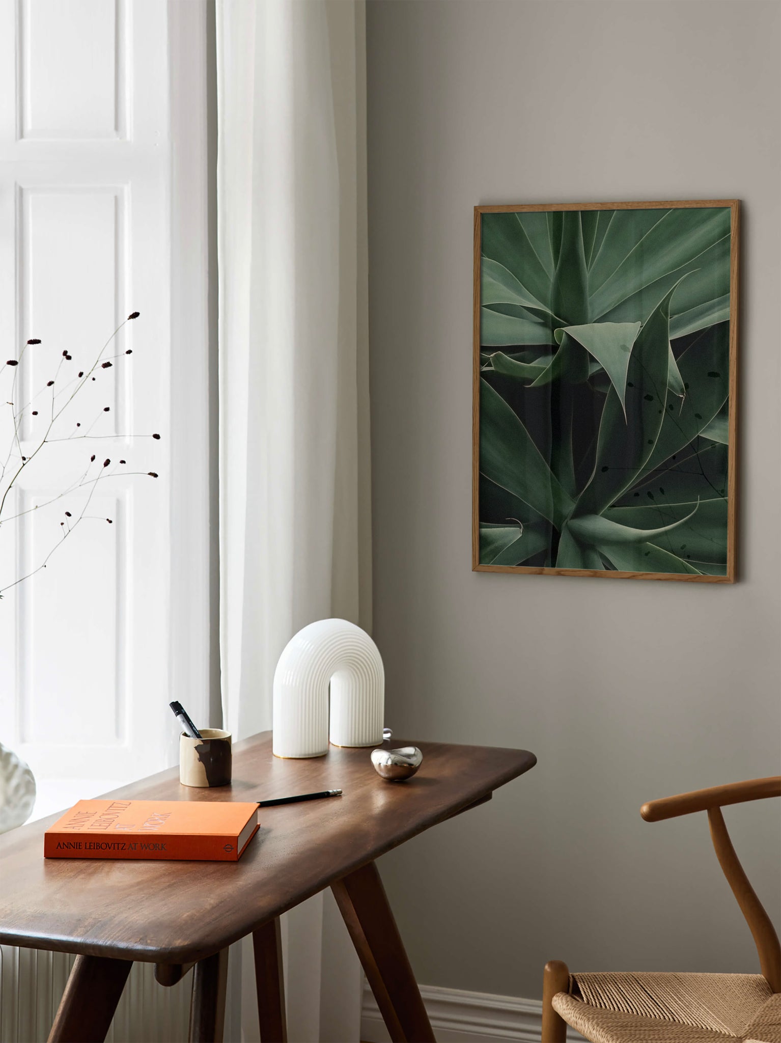 Aloe Vera Plant Print poster