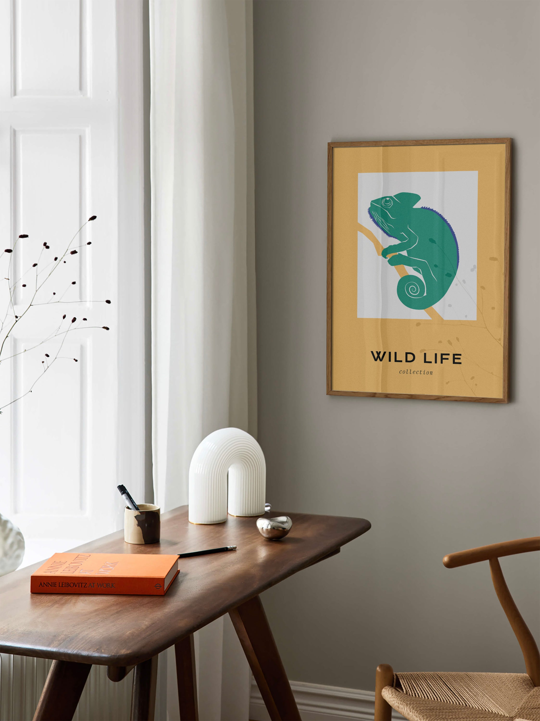 Wild Life: Chameleon