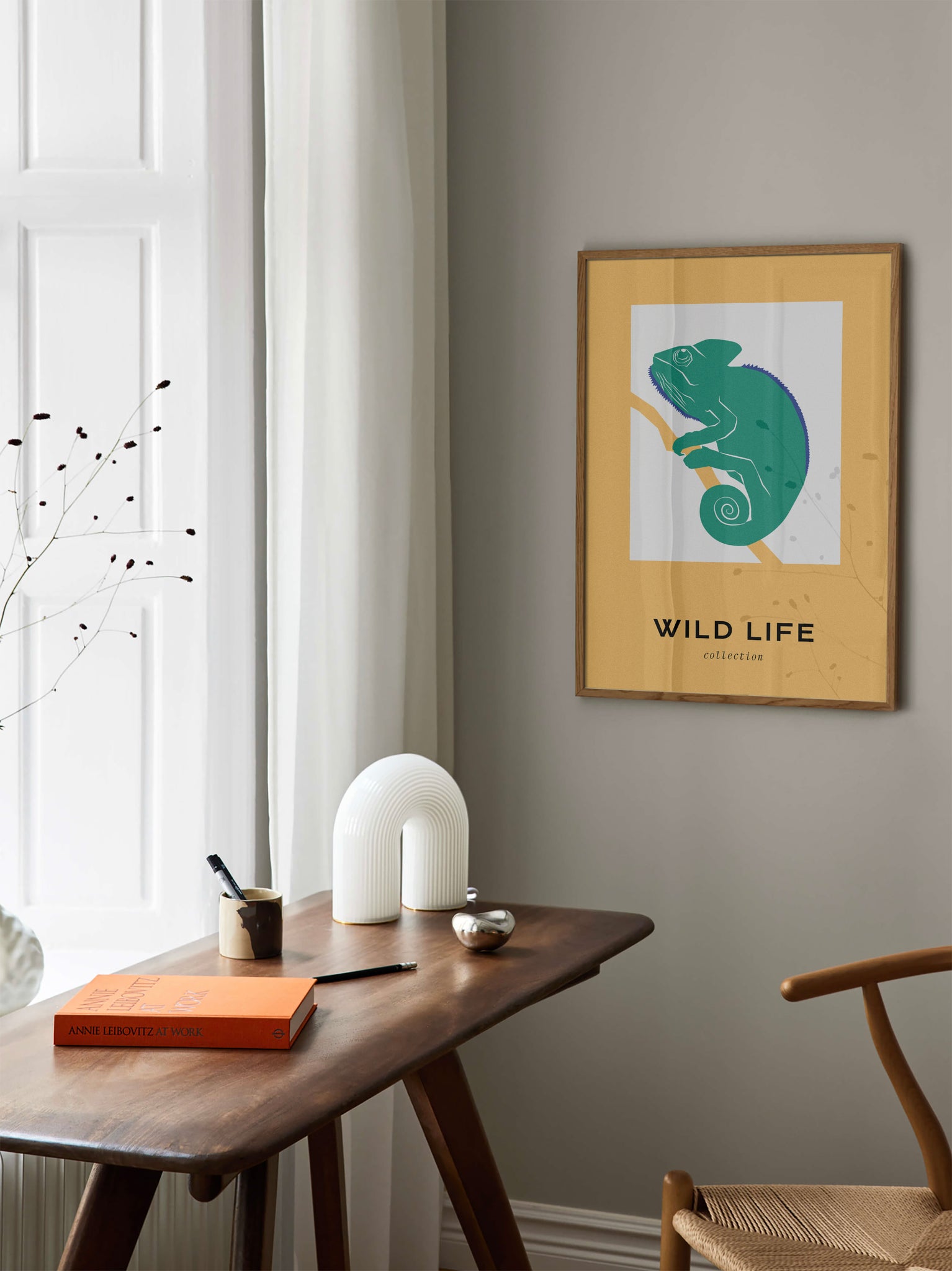 Wild Life: Chameleon