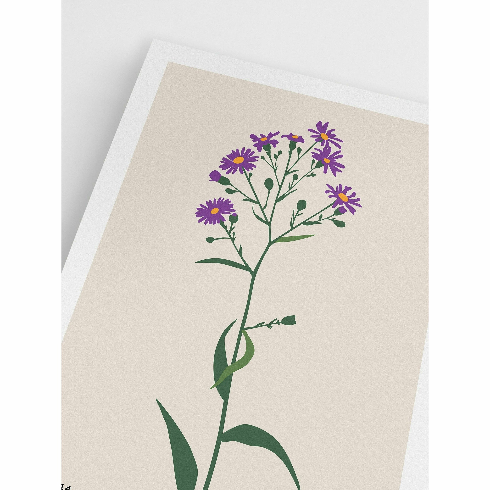Purple Daisy Poster