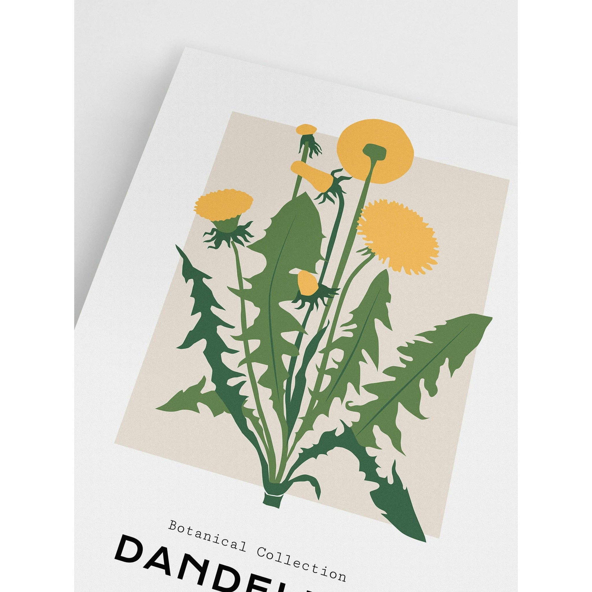 Botanical Poster