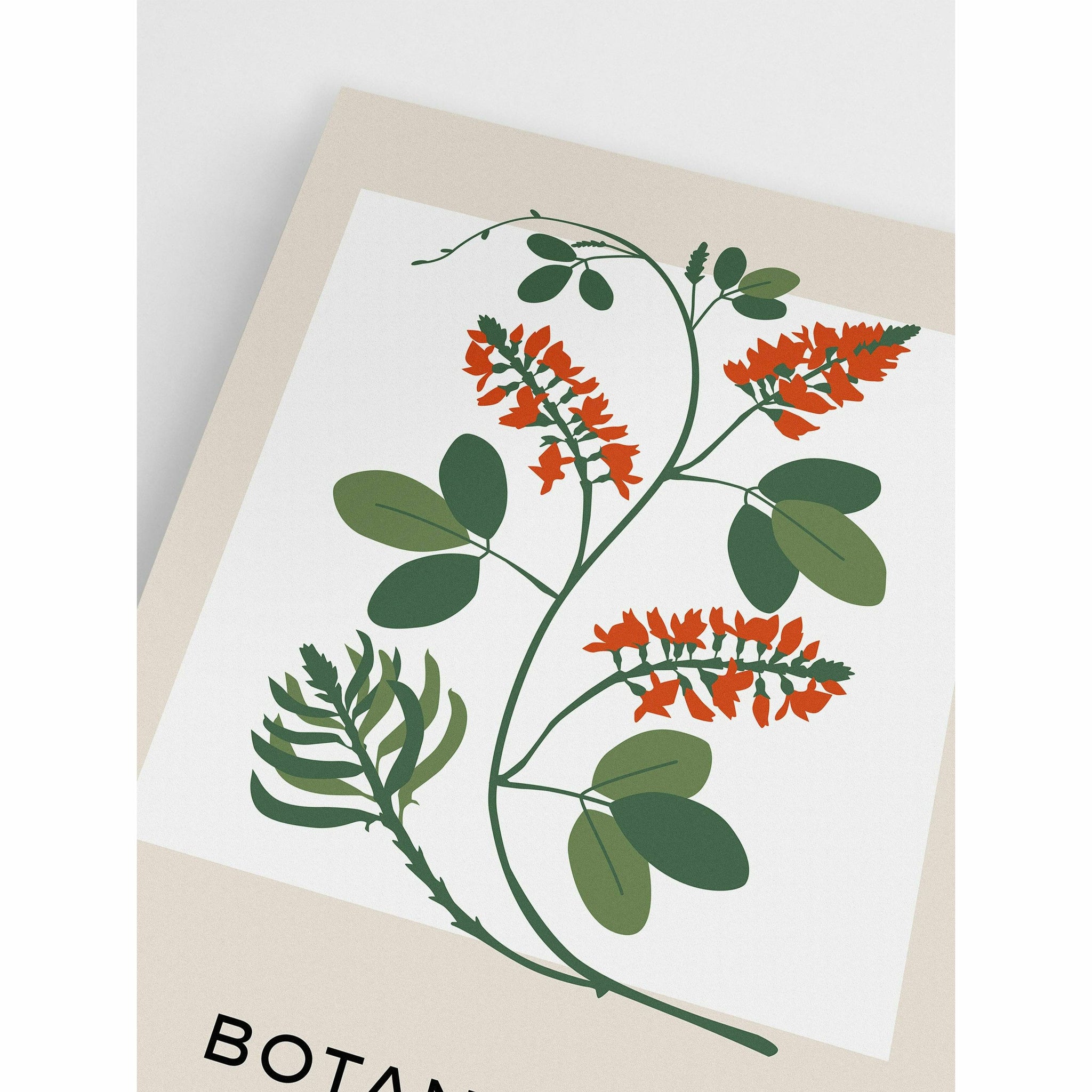 Botanical Wildflowers