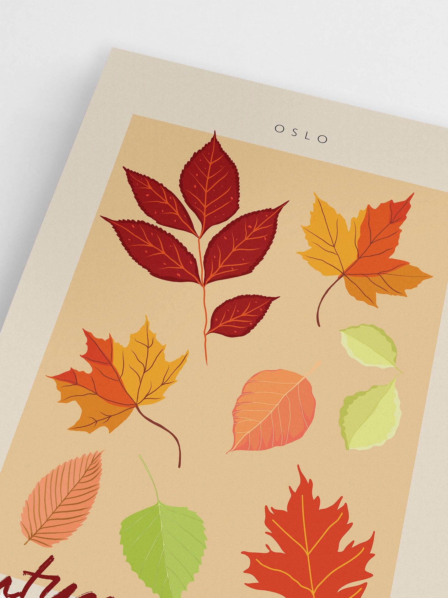 Autumn Gallery: Oslo